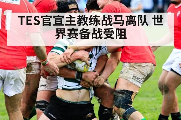 TES官宣主教练战马离队 世界赛备战受阻