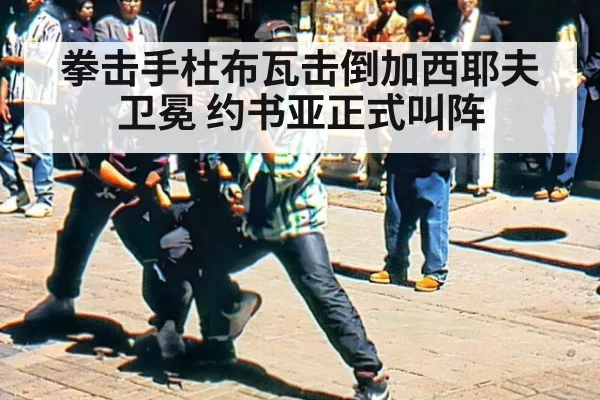 拳击手杜布瓦击倒加西耶夫卫冕 约书亚正式叫阵